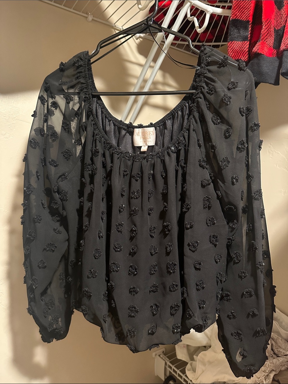 Francesca's Collections Black Sheer Swiss Dot Peasant Top